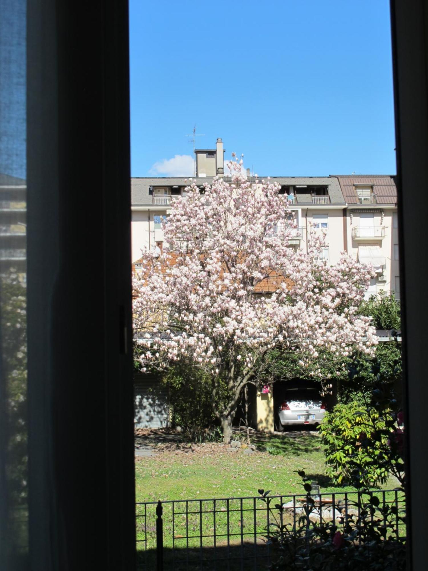 Domus Mea Apartment Domodossola Exterior foto